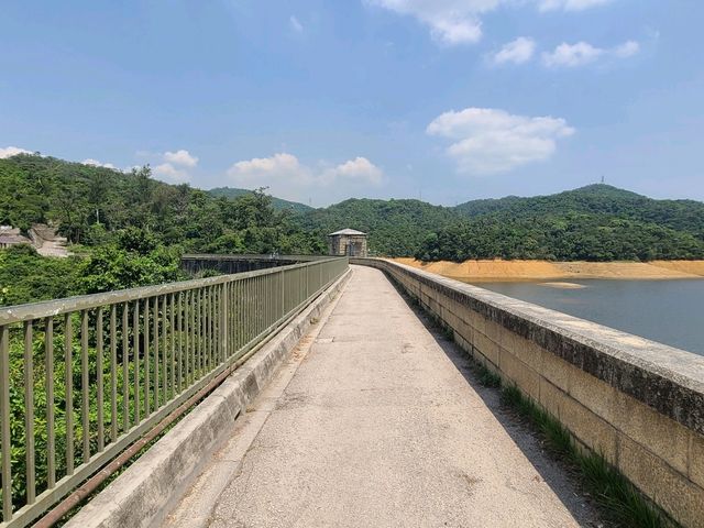 【水塘界四小龍~金山郊野公園🐒】