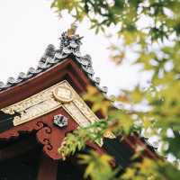 動物園+神社+博物館+櫻花+銀杏=上野公園