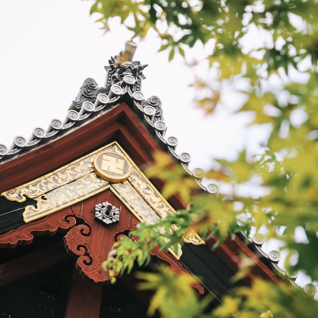 動物園+神社+博物館+櫻花+銀杏=上野公園