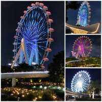 深圳最美夜景之一歡樂港灣摩天輪🎡