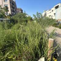 【下北沢】駅のすぐ近くに出来た広場
