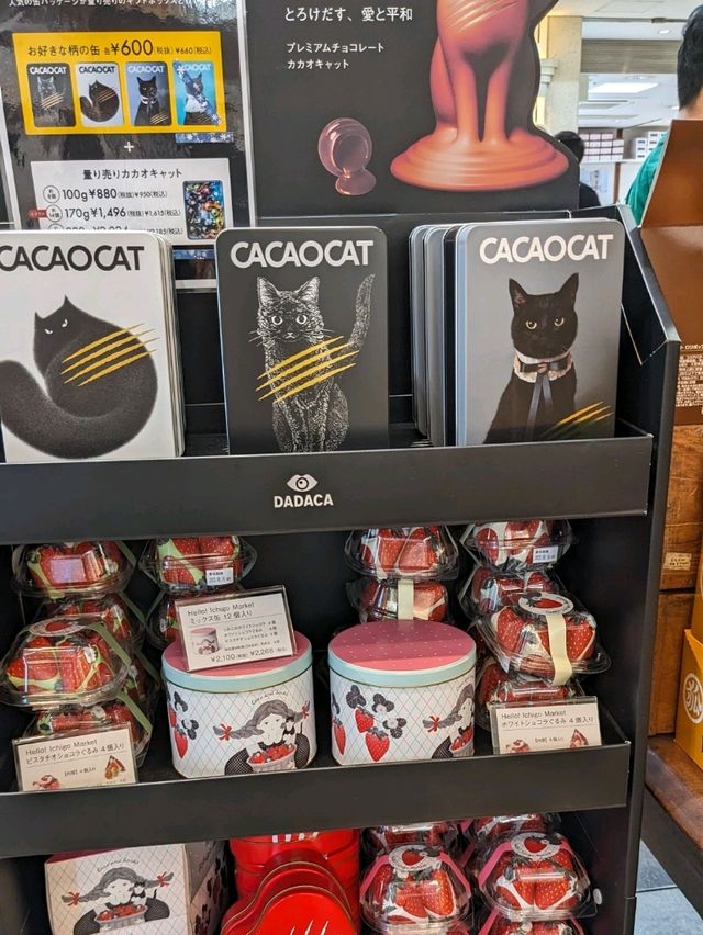 【美味しすぎるチョコ】北海道産のCACAOCAT