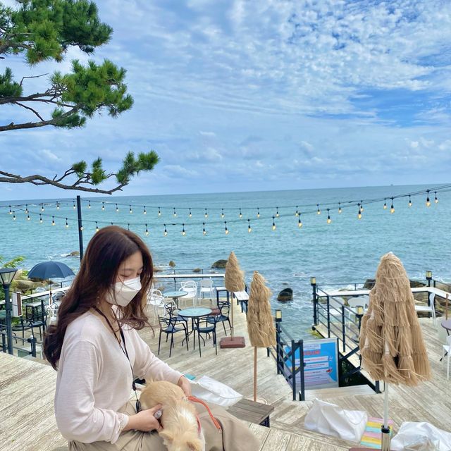 시선310 간절곶 야외 데크와 조명, 바다 풍경