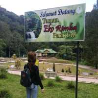 A Must Visit Place In Cameron Highland! 