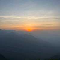 Sunrise at world's highest tea plantation 🌅