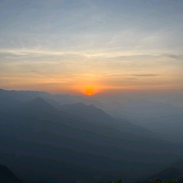 Sunrise at world's highest tea plantation 🌅