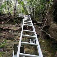 Santubong Summit!