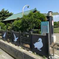 大安水蓑衣生態教育園區🦆