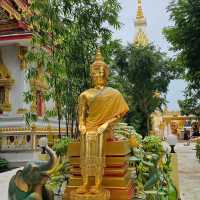 วัดมรุกขนคร
