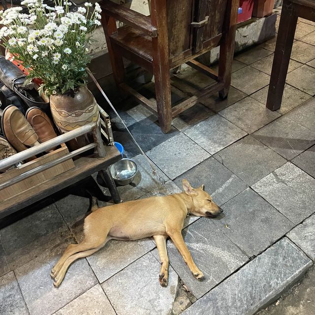 베트남 하노이 당일 여행코스 추천!
