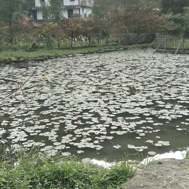 探索神秘的瑪陵坑⛩️基隆的寶藏地！🌳⛰️🌿 