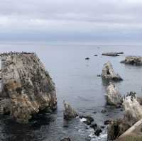 Pismo Beach - Your escapade to Heaven 