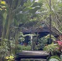 ฉำฉาคาเฟ่ เน้นธรรมชาติสีเขียว