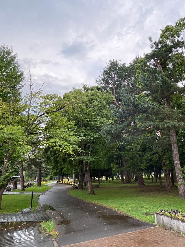 旭川市的美麗後花園～常磐公園💐