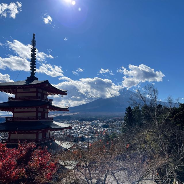 ใบไม้เปลี่ยนสีที่เจดีย์แดง (Chureito Pagoda)