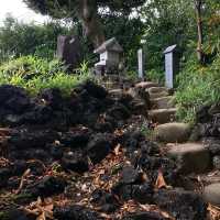 護国寺にある浅間神社の音羽富士