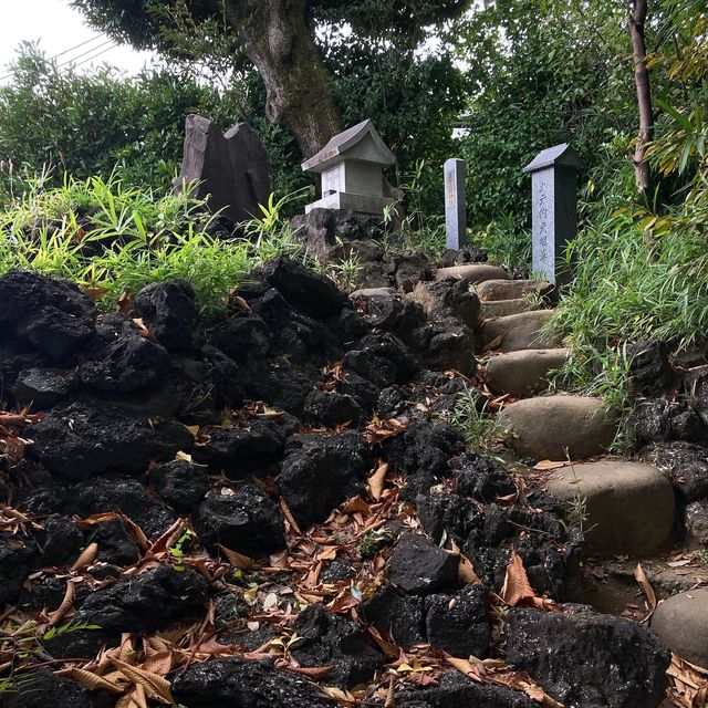 護国寺にある浅間神社の音羽富士