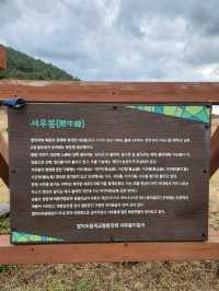 🩵함덕해수욕장을 품은 제주도 힐링 스팟, "서우봉"🩵