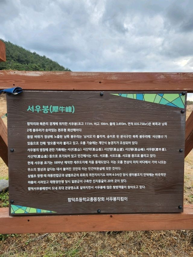 🩵함덕해수욕장을 품은 제주도 힐링 스팟, "서우봉"🩵