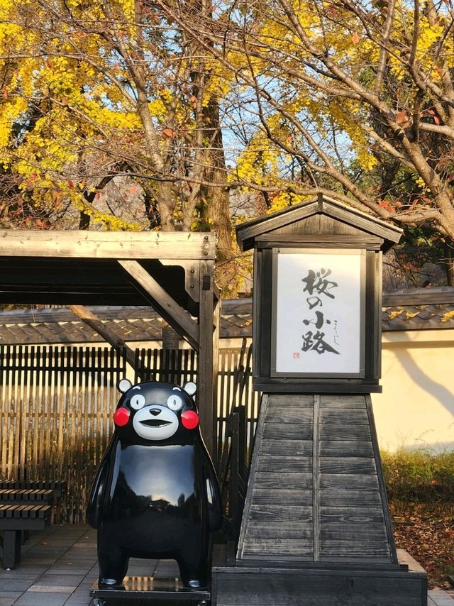 📸秋末福岡-熊本之旅🔥🇯🇵北九州JR Pass 期限內無限次乘坐❤️‍🔥🫶