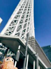 🇯🇵日本東京晴空塔👣太長一棟實在很難照起來👀