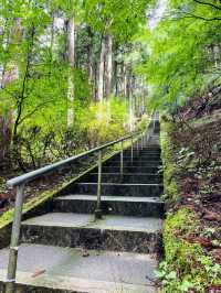【山梨県/石割神社】2023年行ってよかった！山梨県の神社②