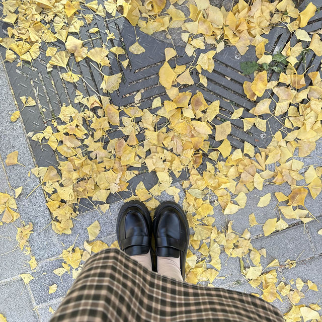 มหาลัย อีฮวา🍂🍁 ในฤดูใบไม้เปลี่ยนสี