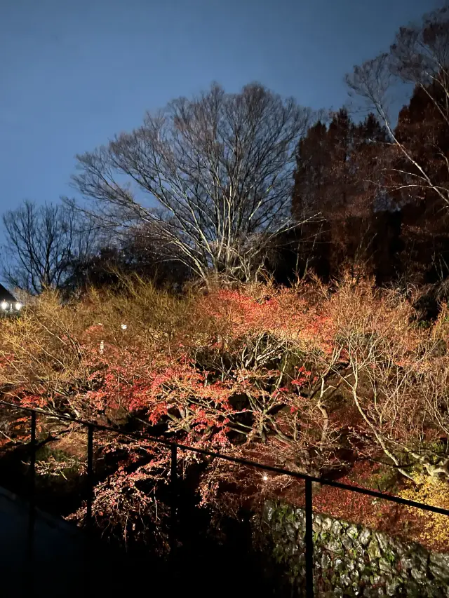 【京都】TENJIN  ロク キョウト エルエックスアール ホテルズアンドリゾーツ