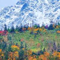 頭輪山道立公園🍁🏔️楓葉飄揚的秋季之美 🍂🌄