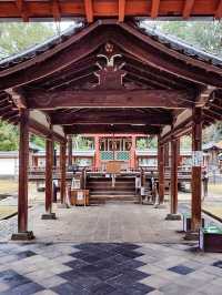 ศาลเจ้าน้ำแข็งไส Himuro Jinja Shrine, Nara