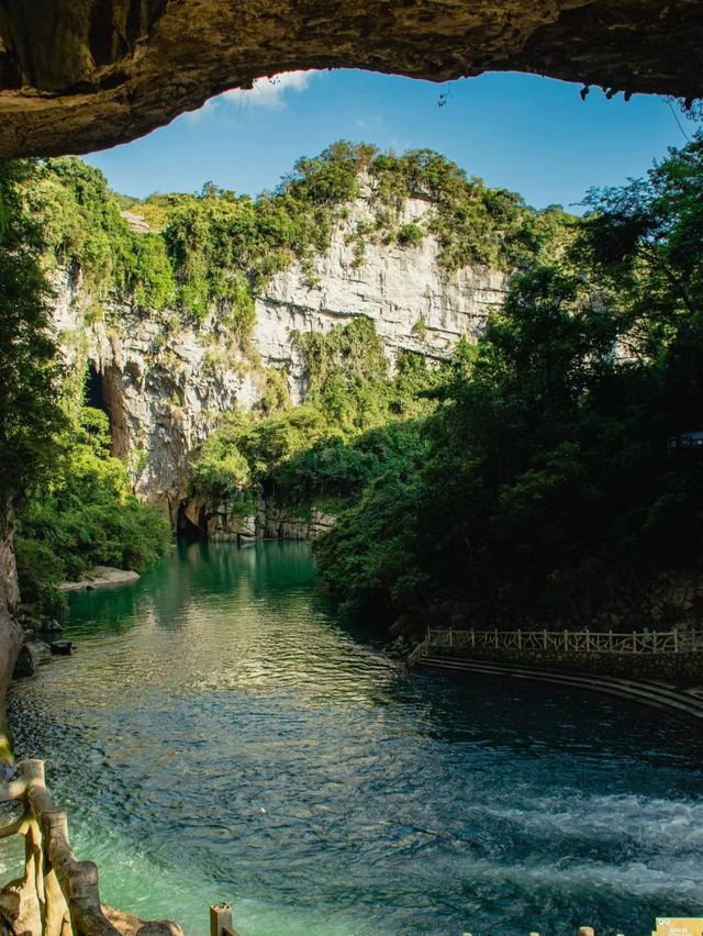 神農谷國家森林公園 🌳🏞️自然保護和生態旅遊的天堂 🦌🌿