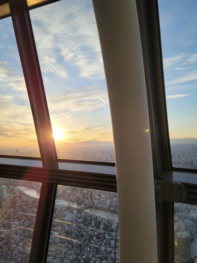 เที่ยว Tokyo Sky Tree ตึกที่สูงที่สุดในญี่ปุ่น