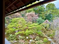 滋賀古竹林院：歴史と静寂の調和 🎋🏯