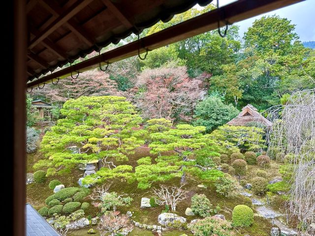 滋賀古竹林院：歴史と静寂の調和 🎋🏯