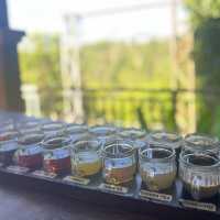 Luwak Coffee Plantation in Bali | Tampaksiring