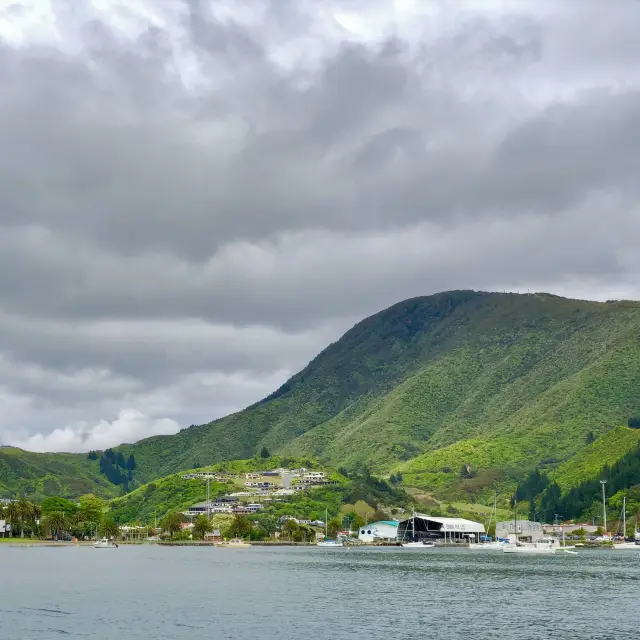 Picton Bliss: Ferry Memories Revived