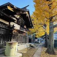 兩個東京巿區隱敞超美銀杏神社