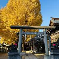 兩個東京巿區隱敞超美銀杏神社
