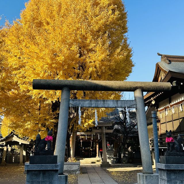 兩個東京巿區隱敞超美銀杏神社