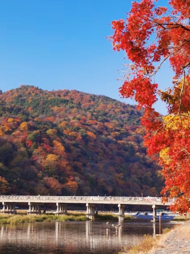 Charming Arashiyama area