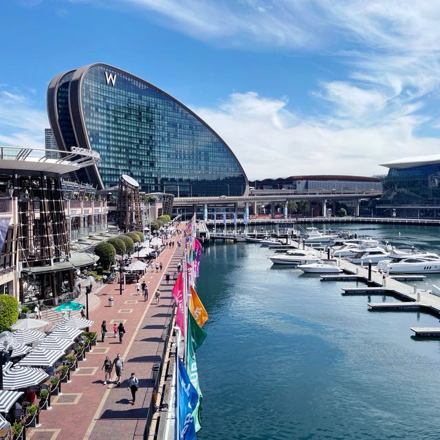 Stunning Darling Harbour from the bridge