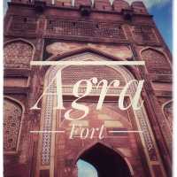 Unveiling Paradise: A Must-See Gem in Agra