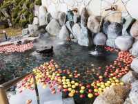 แช่ออนเซ็นแอปเปิ้ล ที่รร.Takamori Onsen