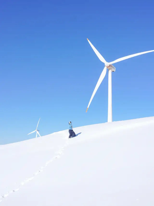 겨울날 눈 온 뒤 꼭 가야하는 최고의 설경 스팟❄️❄️