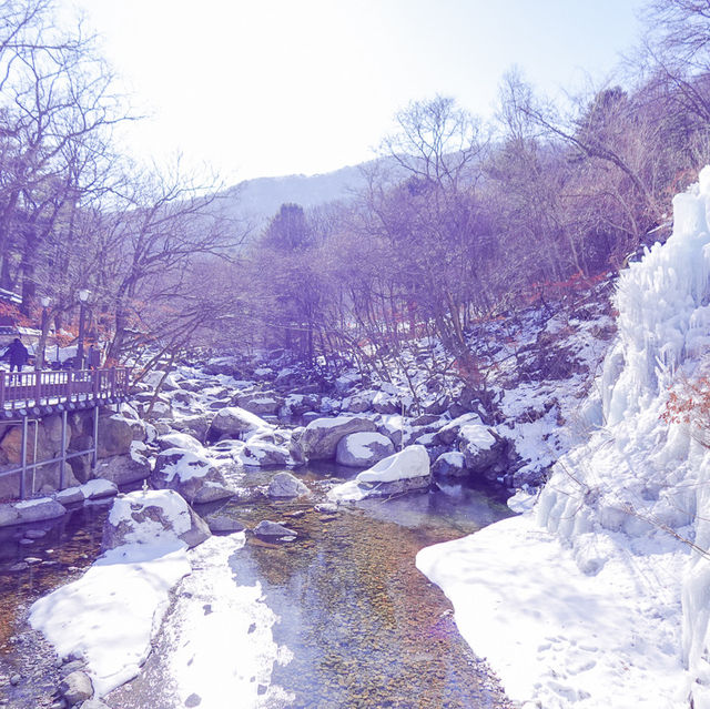 서울 근교에서 만나는 빙벽 뷰 스팟🩵 어비계곡