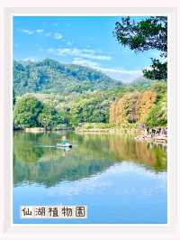 深圳最美植物園，湖光山色，處處都是打咭位