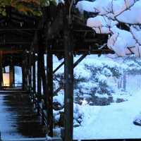 雪裡遊玩😆千光寺