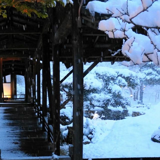雪裡遊玩😆千光寺