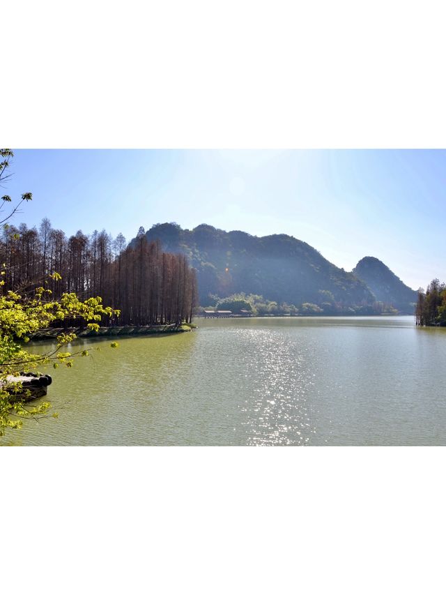 【七星巖：肇慶的壯觀岩洞與湖光山色🌄】