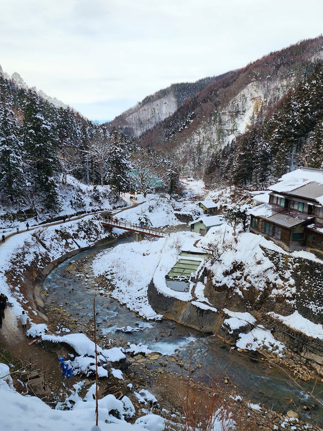 Snow Monkey Park 